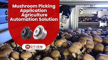 Transforming Mushroom Farming with Advanced Automation!  🍄