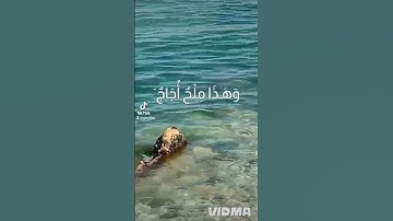 قرآن كريم بصوت جميل راحه نفسيه وسكينه أرح سمعك وقلبك #quran #quranhearts