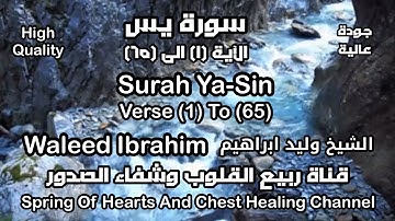 سورة يس للشيخ وليد ابراهيم تلاوة إبداعية تترك اثر في النفوس  Waleed Ibrahim Surah Ya-Sin