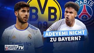 BVB an Reals Asensio dran – Bayern aus dem Rennen im Kampf um Adeyemi? | TRANSFERMARKT