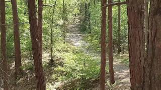 Bergen Schoorlschoorlse Nokmet Picnic En Uitzichtpunt 48 Meter01 Mei 2025