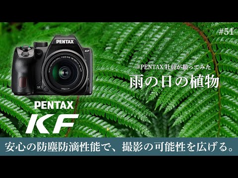 Introducing photos of plants taken on a rainy day by a PENTAX