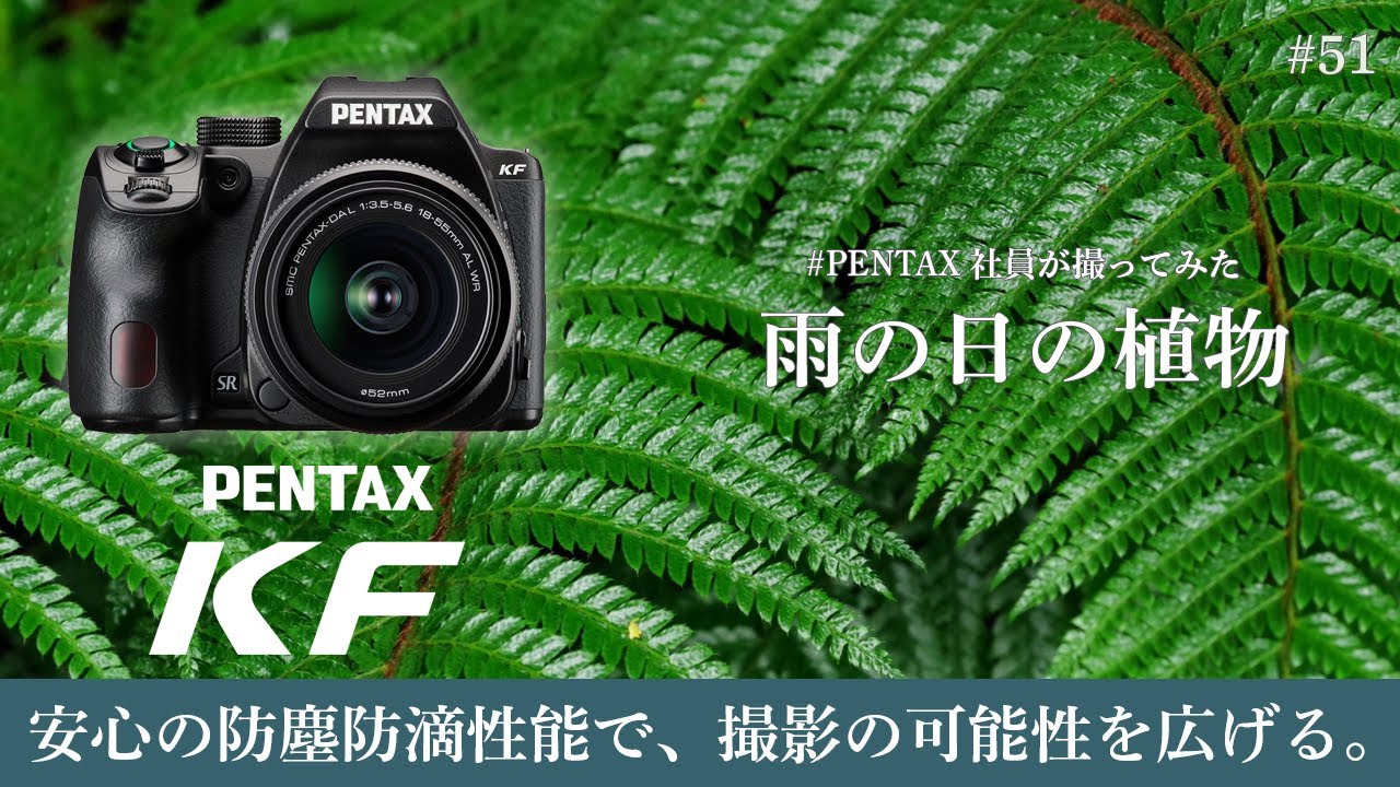 Introducing photos of plants taken on a rainy day by a PENTAX