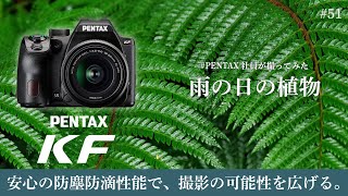 Introducing photos of plants taken on a rainy day by a PENTAX