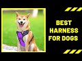 Dog Harness: Best Harness for Dogs 2020 Reviews