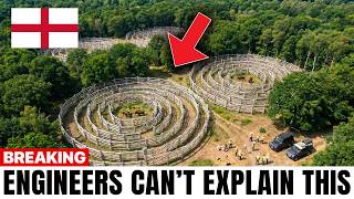 England Released 4 Bison Into a Dead Forest — What They Did With Bark and Hooves Was Unbelievable