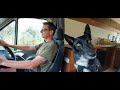 Going Off Grid EP17 - We lost our Nala