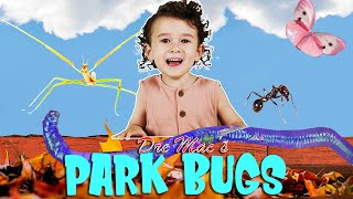 Bug Hunting For Kids Learning And Playing With Bugs