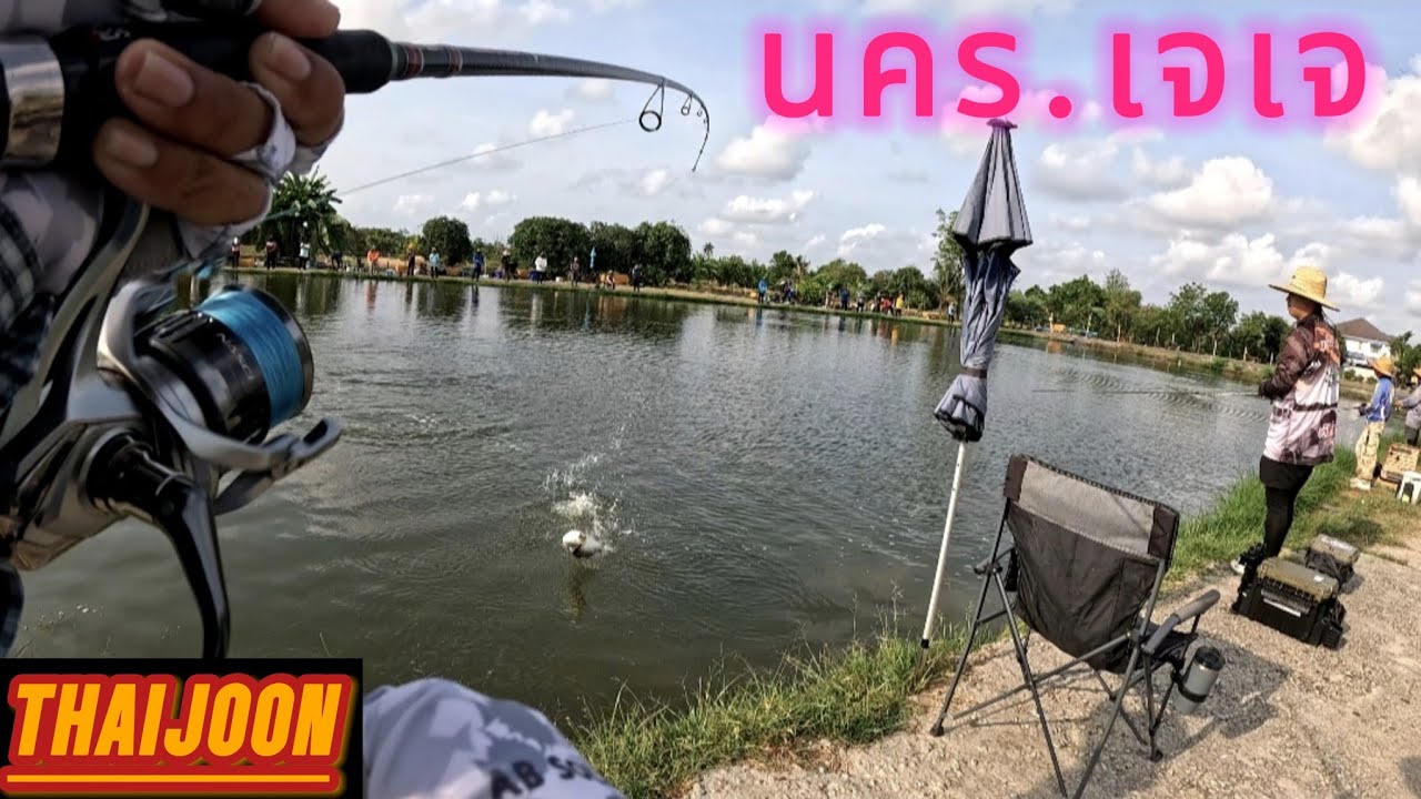 นครเจเจ อย่างมันส์🔥#fishing #กะพงบุฟเฟต์