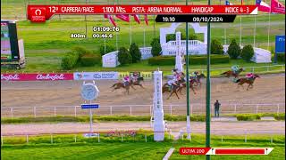 Vidéo de la course PMU PRIX BRISSAC