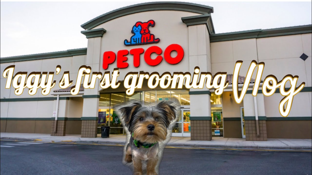 Iggy’s PETCO Grooming YouTube