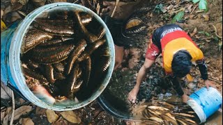 Catching fish in the river to cook