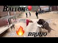 Bruno ballon ka saath khela   priyanshu dhillon vlogs