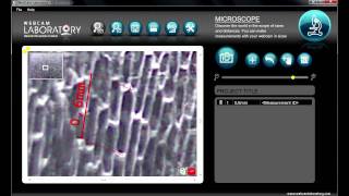 WebCam Laboratory - Six functions