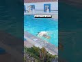 Hilarious pool race 😂🏊🤦                                    🎥: TikTok / castro_wx