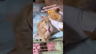 ฝันถึงอะไรดูแล้วท่าจะฝันดี #เฮียจีวอน