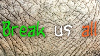 LYRICS KSHMR Touch VIP Remix LYRICS KSHMR Touch VIP Remix