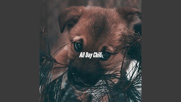 Scintillating Backdrops for Amusing Days