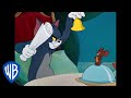Tom y Jerry en Latino | ¡Protejan a Jerry de Tom! | WB Kids
