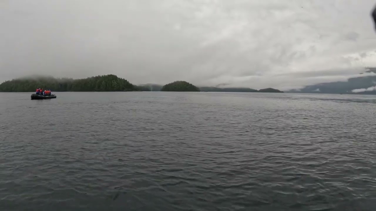 The REALITY of an Alaska Seabourn Encore Zodiac Excursion | Alert Bay