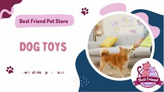 🐾 Exciting News for Pet Lovers Everywhere! 🐾 screenshot 4
