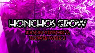 Honchos Grow S4:E9