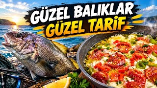 Zıpkınla eşkina mırmır karagöz avları nefis buğulama 