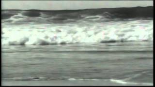 Watch Robbie Robertson Testimony video