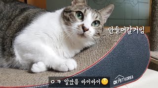 니가 안들어온다고 했잖아😣