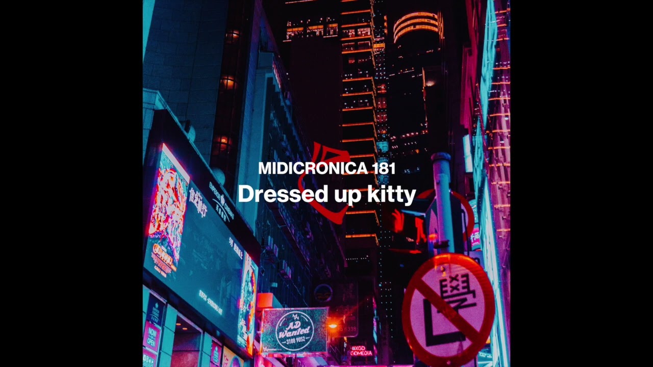 Dressed up kitty《beats to chill》