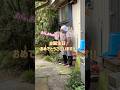 81歳になりました!! #栃木 #おばあちゃんと孫 #宇都宮市