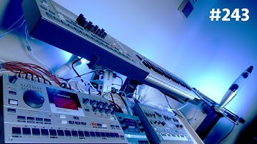 #243 (Elektron Monomachine SFX-6, MachineDrum MKII-UW, Roland MC-202)