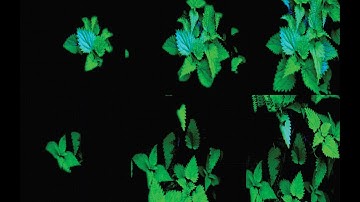 Touch Designer Beginner Friendly Images Appearing Tutorial