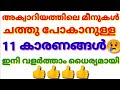 Aquarium fish Dieing reason in malayalam?/Aquarium fish death reason in malayalam/gold fish died?