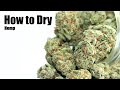 Drying and curing hemp