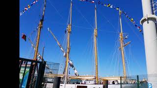 Fragata D  Fernando II & Gulden Leeuw