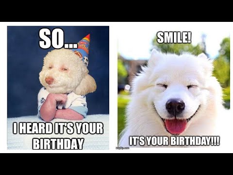 funny-birthday-wish-memes-of-all-the-time-|1|