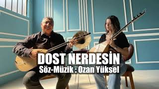 DOST NERDESiN - KISA TANITIM Resimi