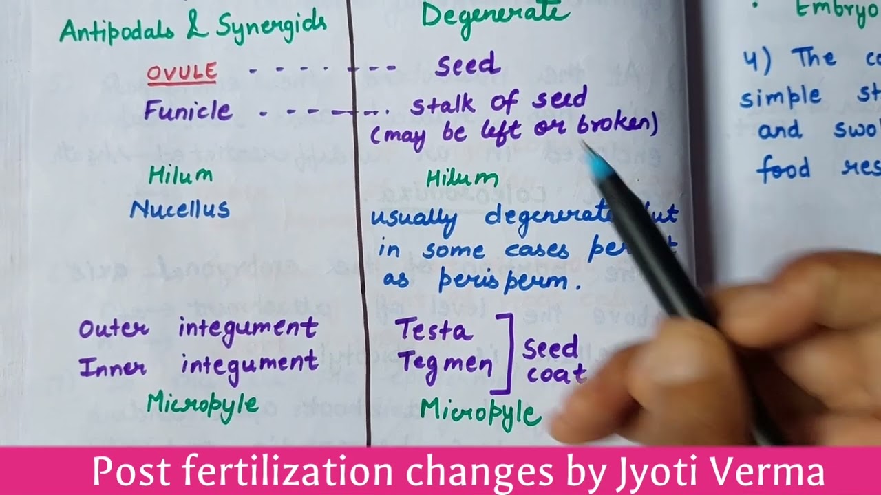 Post Fertilization Changes  | for competitive exams