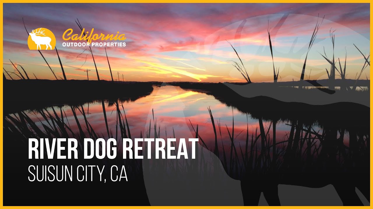 River Dog Retreat | Suisun City, CA