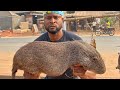 Mukbang Asmr Giant RAT, Cooking and Eating Grasscutter Bushmeat in Nigeria.