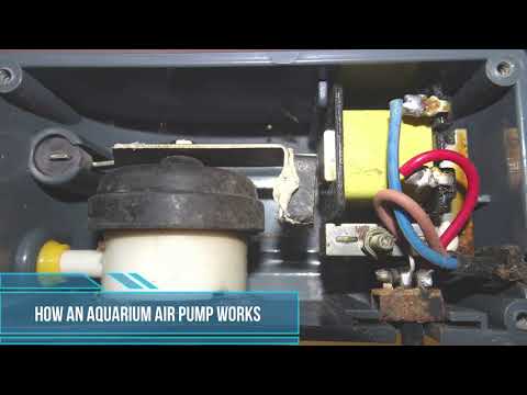 How an aquarium air pump works?