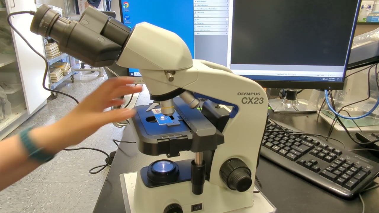 Как работать с микроскопом Olympus CX23 – Руководство для студентов A&P