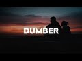 Emily Weisband - Dumber (Lyrics)