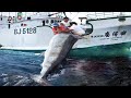longline fishing, Commercial Fishermen Fishing Vessel - Big Catch Tuna and Swordfish Strongest Boat