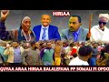 Guyaa Araa Hiriraa Mormii Bakka Heduu Kibaa Oromia Kessaati Dhimaa Dangaa Moyalee Fi Harargee Baalee Guyaa Araa Hiriraa Mormii Bakka Heduu Kibaa Oromia Kessaati Dhimaa Dangaa Moyalee Fi Harargee Baalee