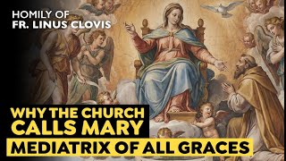 The Spiritual Power of Mary Mother & Mediatrix ~ Fr. Linus Clovis