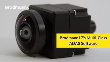 Brodmann17