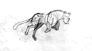 Tiger Run Cycle // Hand Drawn Animation Pencil Test