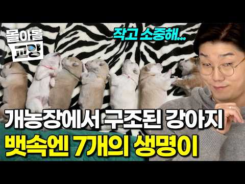 Just like the name 'Sarang' (Love)... A pet owner embracing 7 little bundles of joy #BingeWatchEd...